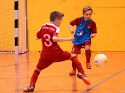 mini-2016-01-30-DSC_4286